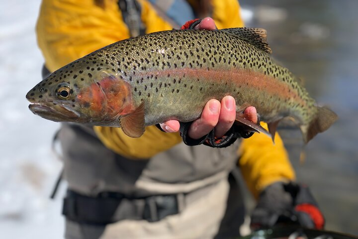 Full Day Wade and Walk Fly Fishing Private Trip - Photo 1 of 6